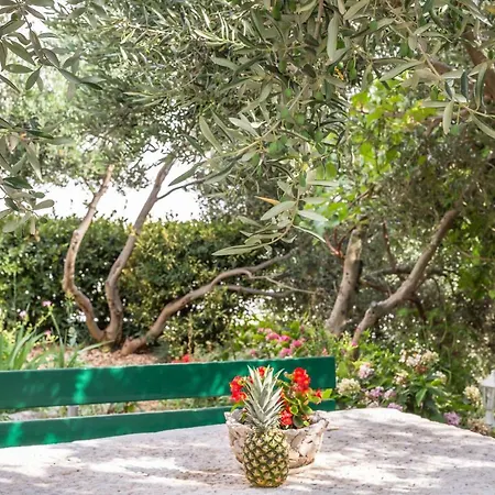 Jure Apartament Makarska